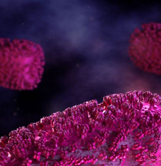 Cardiovascular/Sleep Disorders/Women’s Health