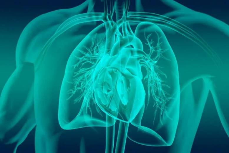 Cardiometabolic diseases